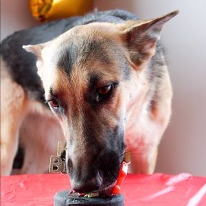 Meet your Posher, Caytlin